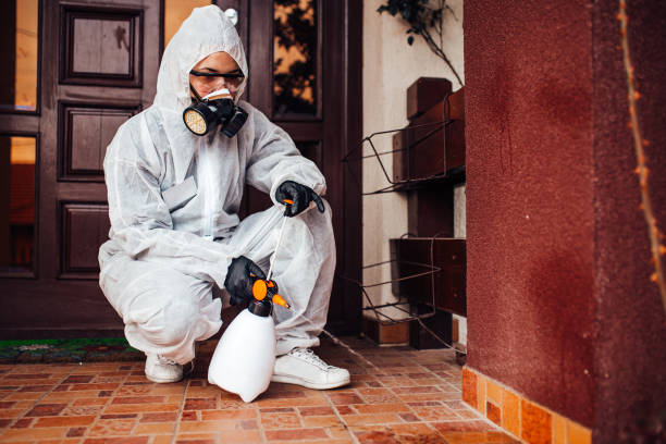 Reliable Cockroach Control contractor in Phenix City, AL by Nex Pest Control